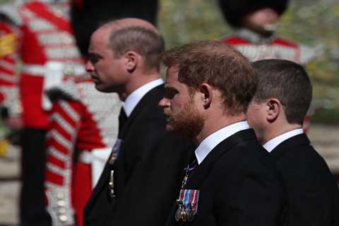 Prince William &amp; Prince Harry moved past ‘painful’ fallout as ‘layers of resentment’ are..