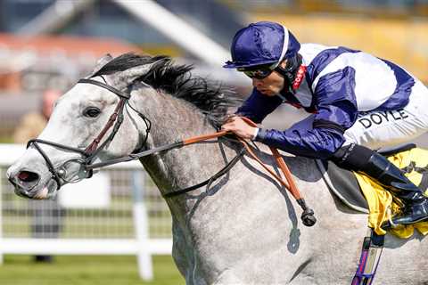 Guineas gamble to miss Newmarket as Richard Hannon takes it slow and steady with exciting Snow..