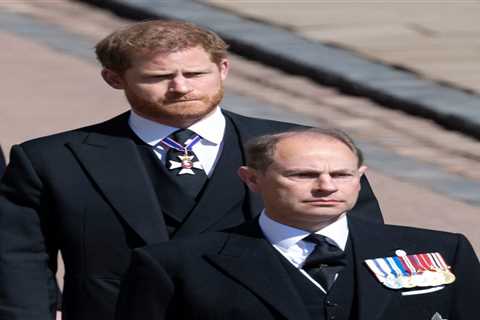 Princess Anne, Edward &amp; Sophie ‘didn’t acknowledge’ Harry at Philip’s funeral as there’s..
