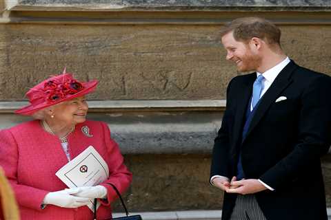 Prince Harry met Queen privately ‘at least twice’ and spoke to Charles &amp; William on ‘family..
