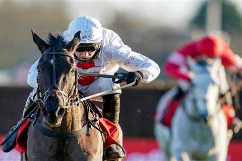 Dan Skelton explains Nube Negra Punchestown switch with two-mile ace set to take on best of Ireland