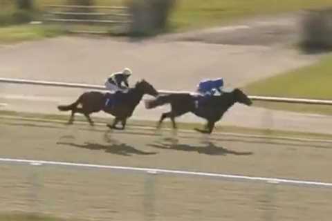 Punters explode in fury over ‘ridiculous’ ride that lands jockey 21-day ban after coming second to..