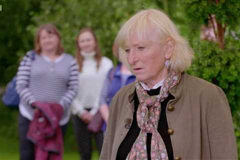 Antiques Roadshow guest snaps at presenter after sly dig at her history knowledge