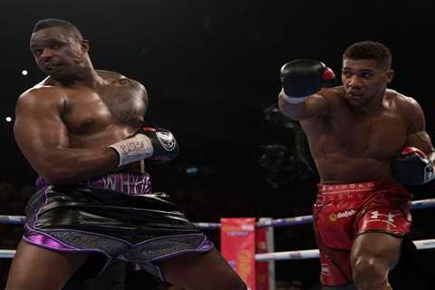 Boxers who fought as amateurs, then rematched as professionals including Anthony Joshua vs Dillian..