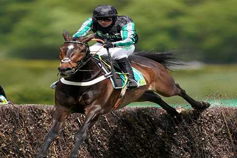 Altior and Frodon set for thrilling jumps finale at Sandown but Tiger Roll to miss fixture and stay ..