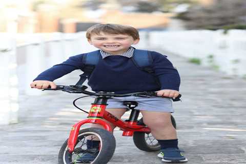 Inside £17k-a-year Willcocks nursery where Prince Louis, 3, will take nature classes, practice..