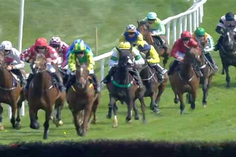 Punters fuming as winning racehorse is controversially demoted to second after ‘bonkers’..