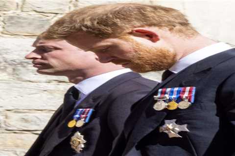 Prince Harry’s relationship with Charles and William still ‘very, very raw’ and there’s ‘lots of..