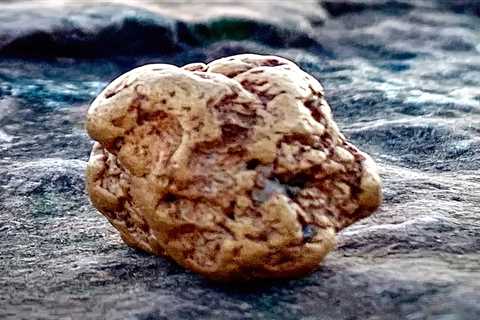 Huge gold nugget called the Prince of Wales sales at auction for over £20,000