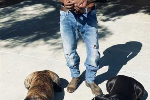 Hollywood star Jamie Foxx reveals amazing body transformation as he prepares to play Mike Tyson in..