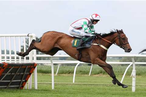 Sandown Bet365 Gold Cup runners: Templegate’s horse-by-horse guide plus who Rachael Blackmore rides ..