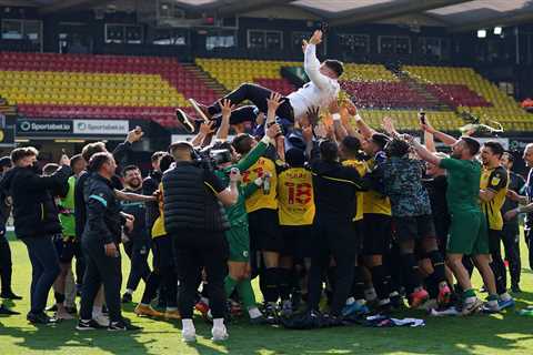 Watford back to the Premier League with yet another manager and model that should never work… but..