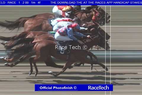 Drama at Lingfield races with crazy three-way photo finish leaving a dead-heat and share of the..