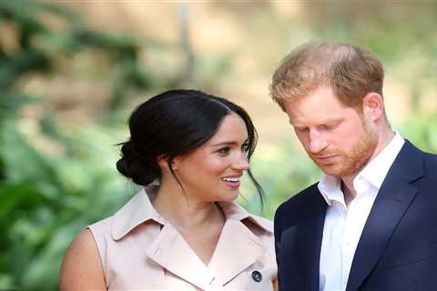 Prince Harry and Meghan Markle may be ‘cut’ from Royal Family in Prince Charles’ plan to save cash