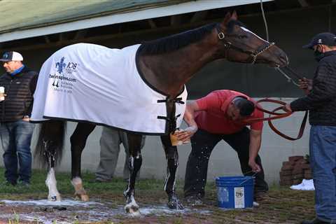 Kentucky Derby contender Hot Rod Charlie is owned by five uni friends who dreamed up their company..