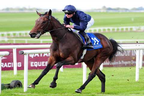 1000 Guineas runners: Huge gamble Santa Barbara headlines list of 16 left in Sunday’s Newmarket race