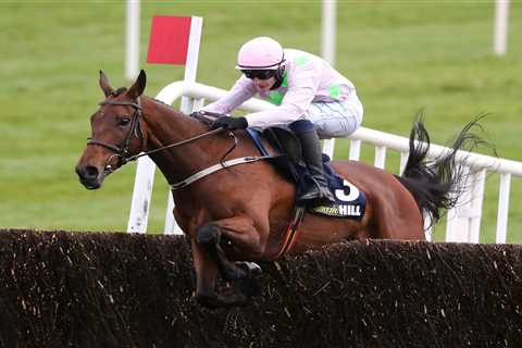 Chacun Pour Soi back to devastating best at Punchestown to leave Allaho in his wake as Willie..