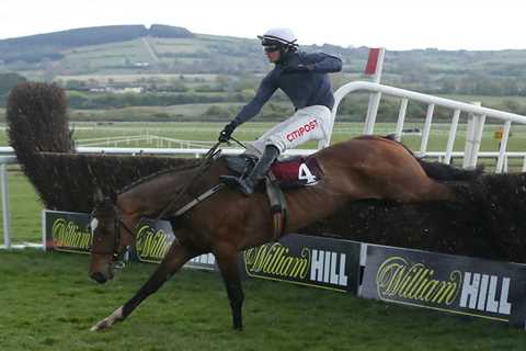 Punchestown 6.30 result: Who won Novice Chase clash between Monkfish and Envoi Allen plus how every ..