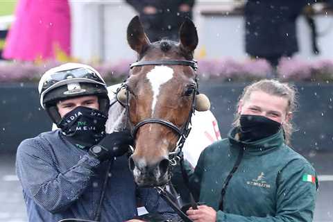 Colreevy causes huge Punchestown shock as Envoi Allen and Monkfish beaten by Willie Mullins number..