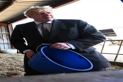 Boris Johnson hits back at Dominic Cummings to deny ‘bodies pile-up’ claim &amp; ex-aide could..