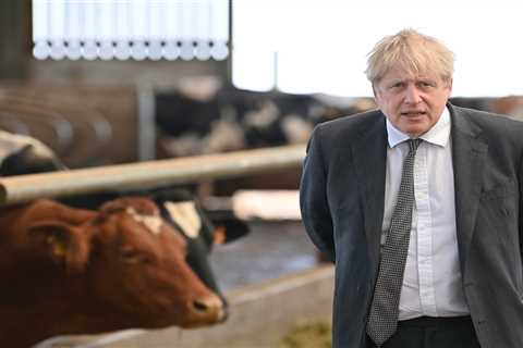No10 fear axed aide Cummings will publish texts exposing chaos at the heart of Government’s Covid..