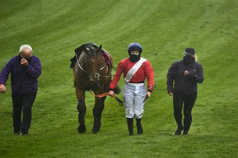 Envoi Allen sent to hospital for scan on injury as De Bromhead admits there’s ‘something bothering’ ..