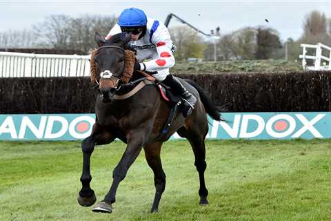 Punchestown 5.55 result: Who won Gold Cup on day two plus how every horse finished