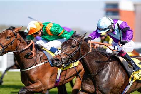 Champion jockey Oisin Murphy reckons ‘very tough’ Alcohol Free can serve it up to them in 1000..