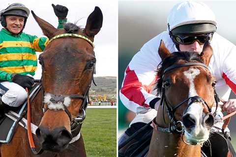 Epatante and Goshen chasing huge payday as Paddy Power bonus makes Punchestown Champion richest..
