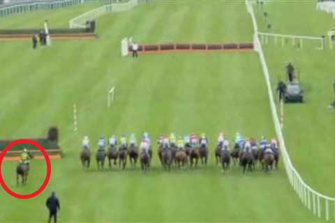 Punters tear hair out as horse goes from no-hoper, to being odds-on to win to finishing unplaced in ..