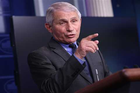 What did Dr. Fauci say about Joe Rogan?