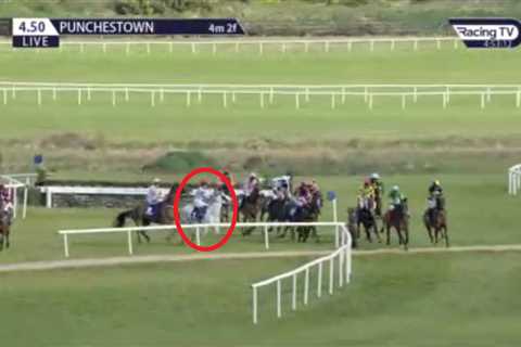 Tragedy as fan favourite racehorse Some Neck dies following disastrous mid-race mix-up at..