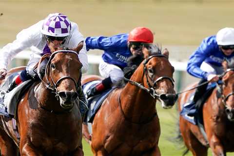 Veteran trainer Jim Bolger teams up with son-in-law jockey to spring 16-1 surprise with Poetic..