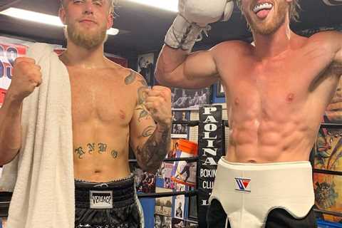 Jake Paul and Logan Paul could ‘get killed’ if they continue boxing careers, warns pound-for-pound..