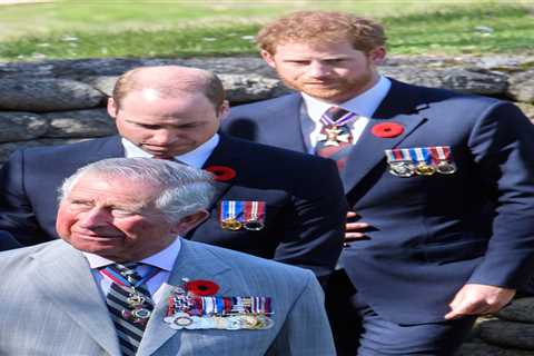 William &amp; Charles ‘won’t open their arms to Harry again’ after Oprah interview