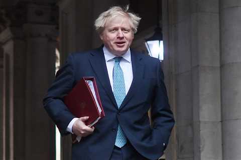 We don’t give a monkey’s about Boris Johnson’s curtains, say Hartlepool voters ahead of local..