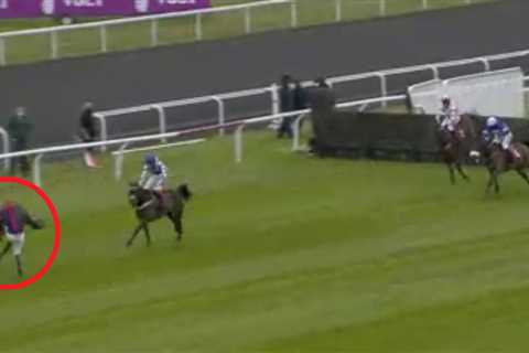 Horse who lost race in ‘stupid’ incident that cost punters £10,000 to be sent to sales, confirms..
