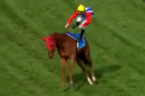 Hard-as-nails jockey rides winner with broken LEG… which he didn’t even know was fractured until..