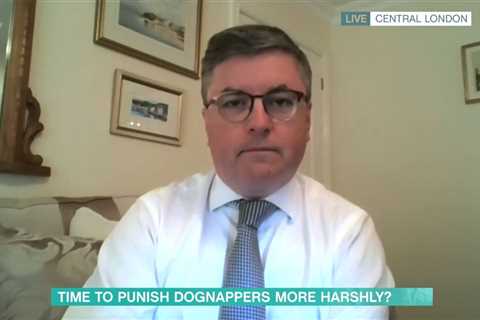 Holly Willoughby dubs Justice Sec the nation’s ‘Chief Pet Detective’ as he vows to crack down on..
