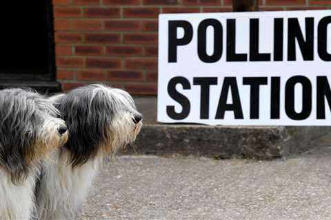 Can I take my dog to the polling station during local elections 2021?