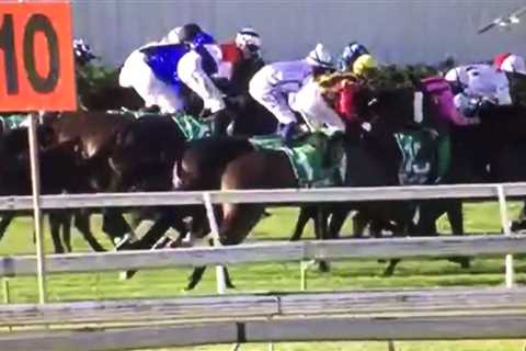 Jockey injured in nasty fall was victim of seagull spooking horse, trainer claims