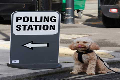 Local elections 2021: All the key declaration timings you need to know TODAY and this weekend
