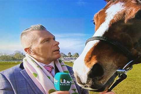 Matt Chapman pays tribute to retired Faugheen – ‘You could snuggle up at night, but on track he..