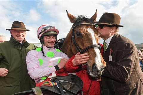 Rich Ricci trio Faugheen ‘The Machine’, Douvan and Benie Des Dieux retired by Willie Mullins