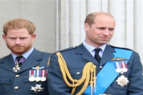 Prince Harry &amp; Prince William were ‘arguing for past 18 months’ as Tom Bradby denies being..
