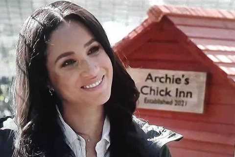 Meghan Markle and Prince Harry’s rescue chickens ‘under threat’ from giant bear on killing spree..