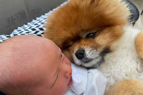 Towie’s Tommy Mallet shares adorable snap as he helps baby Brody bond with his dog Monkey