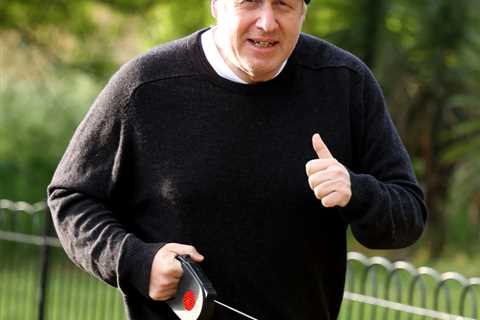Cabinet ministers expect Boris Johnson to call an early election in spring 2023 – but insiders slap ..