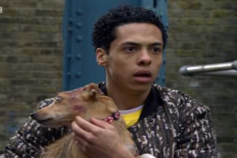 EastEnders fans blast soap for taking animal abuse scenes too far as Banjo battered by gang