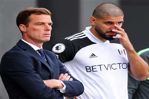 Fulham want Scott Parker to stay and lead them in Championship and keep Aleksandar Mitrovic to fire ..